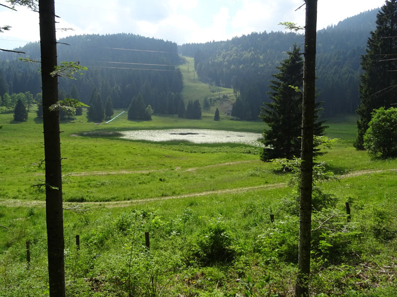 Laghi.......del TRENTINO